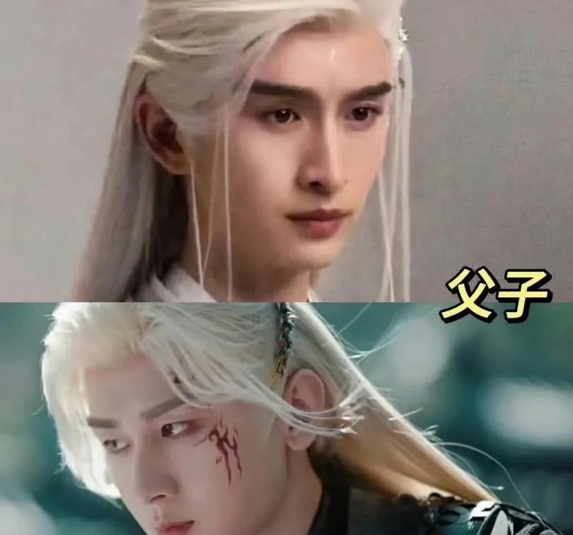 父亲：张云龙～王权弘业
儿子：成毅～王权富贵
单看长相的话，其实张云龙跟成毅还是