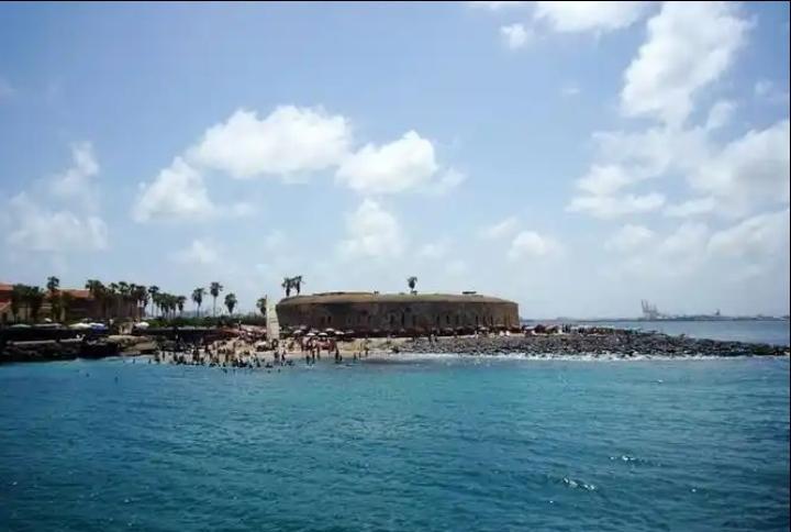 非洲杯：塞内加尔-苏丹
苏丹球员的脚下太糙了！非洲杯一直是冷门的温床，然而当我看