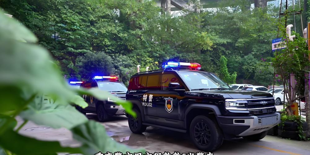 时代变化的太快了，政府也要开始采购新能源汽车了。中央直接给采购比例划了硬杠杠，除