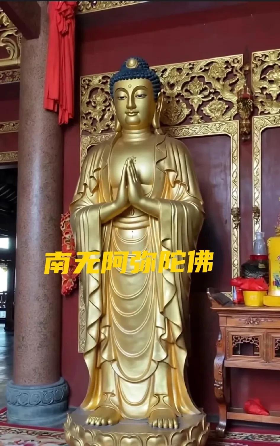 《南无阿弥陀佛》友友们 六时吉祥 ！今天我念诵弥陀的功课刚做完，花了一个小时三十