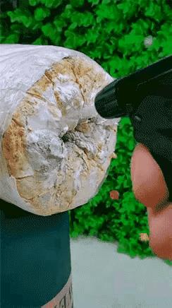 这算自然生长的吗？