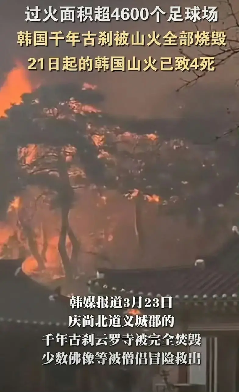 ​​​韩国山火肆虐
