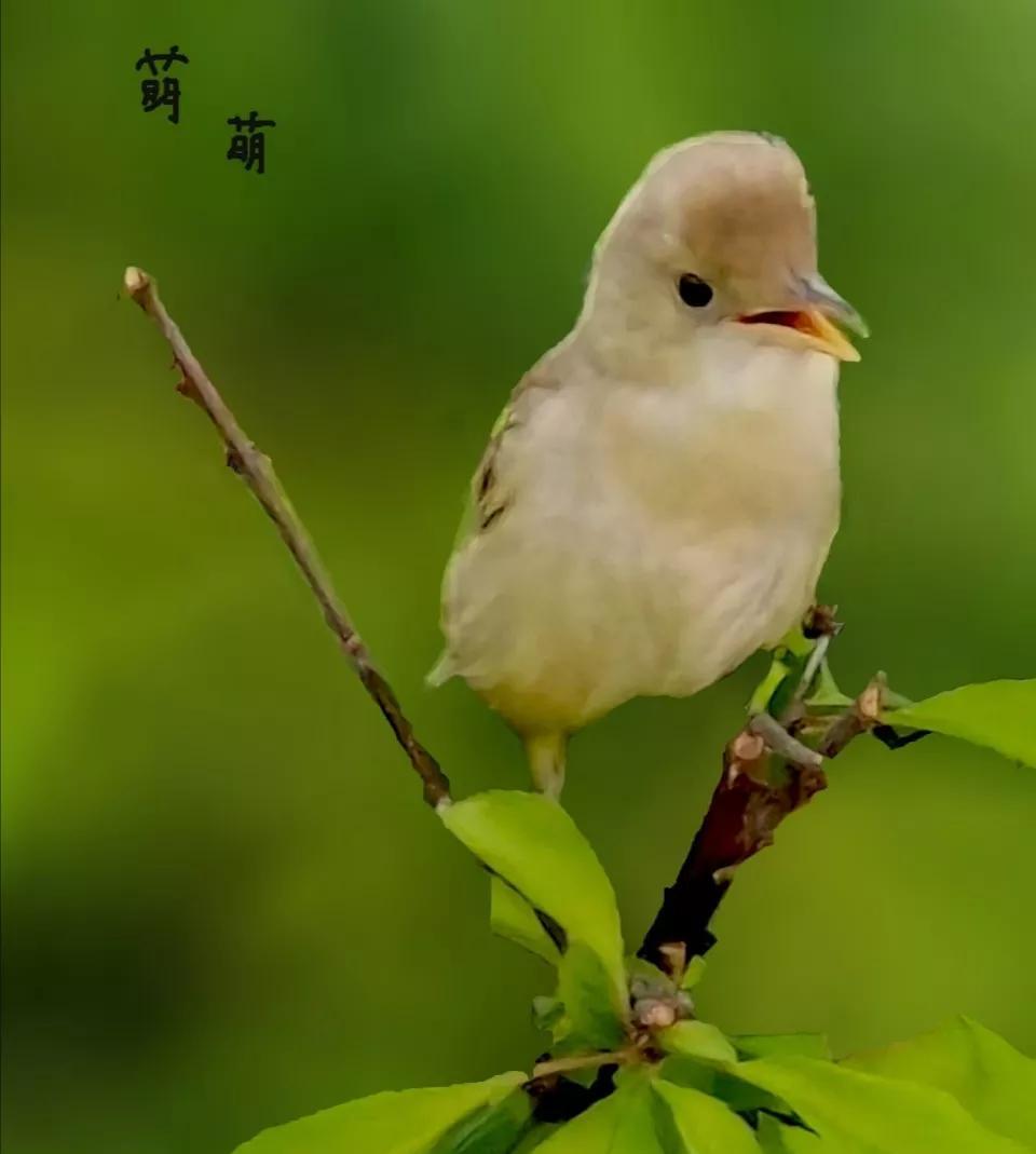 活到五六十岁，你会发现，人这一辈子，拼命地赚钱，管老人管孩子，帮兄弟姐妹。
当你