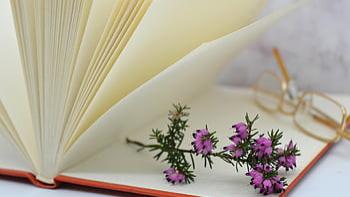 影视作品著作权授权合同中约定违约方解除权条款是否有效？