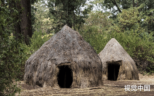 救命！和同事出国旅游，我被绑架到原始食人部落！