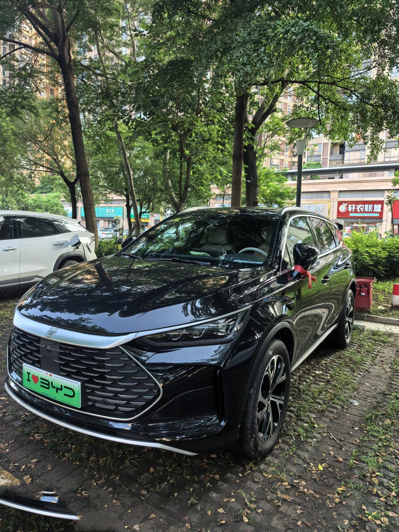 入手“唐dmi智驾版”不知道对与错？