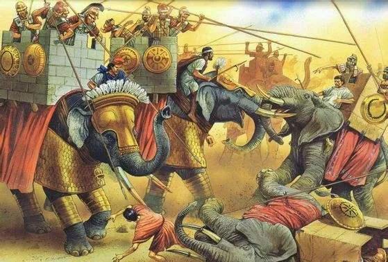 中国历史上的奇特兵种有象兵、藤甲兵等，以下是详细介绍：