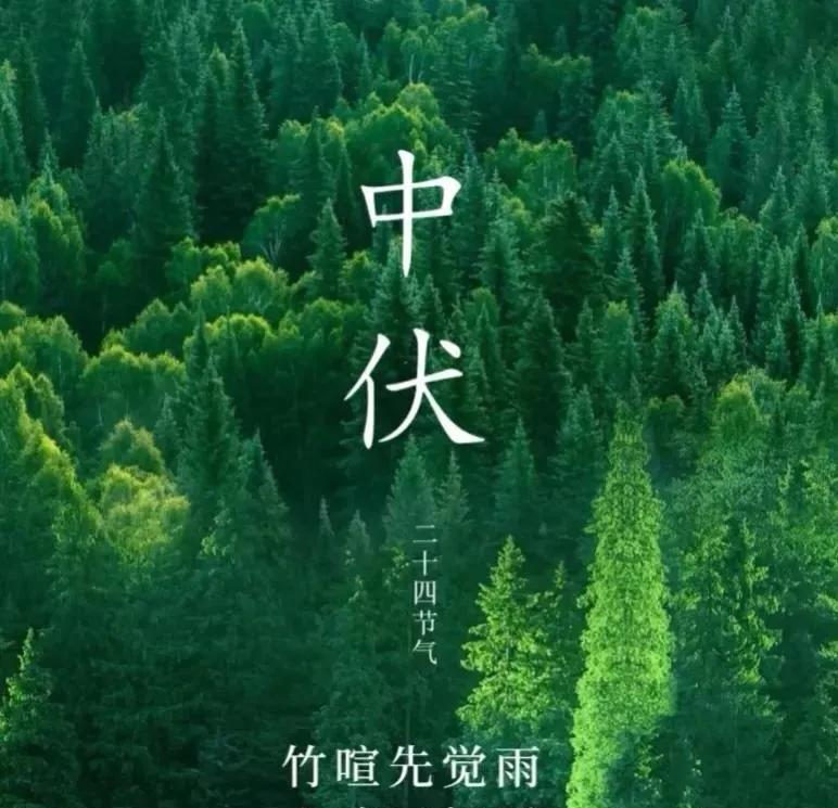 《三伏打油诗三首》
其一《入伏》
夏至数到第三个庚，
老狗见了都发懵。
柏油路上