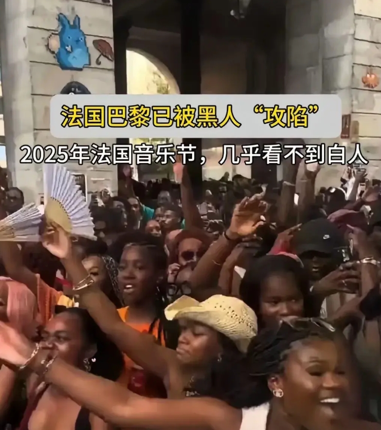 法国音乐节，成了黑人的狂欢，几乎看不到白人的身影。

黑人在法国的比例逐年增长，