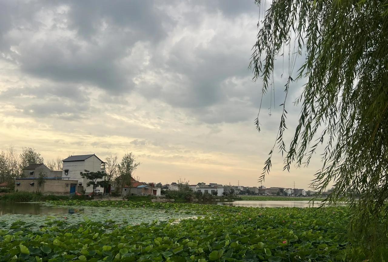 #我们都爱单车旅行#
弦歌台·仲夏骑行即景
水天侵晓泛流金，柳拂晴烟荷影浔。
千