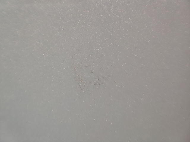 车的质量太好了
一个月的心车就这样了，想买的还是三思吧