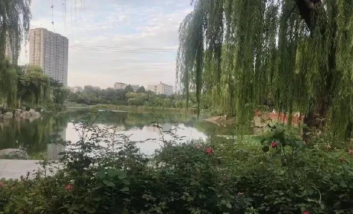 邻居的小儿子，去年高考被广东某学院录取，他妈嫌学校学费贵让他复读一年。
在复读期