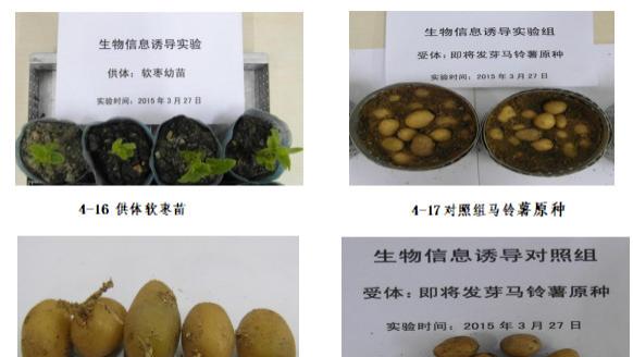 科学家发现人体自带“量子WiFi”！DNA竟是隐藏的超级天线