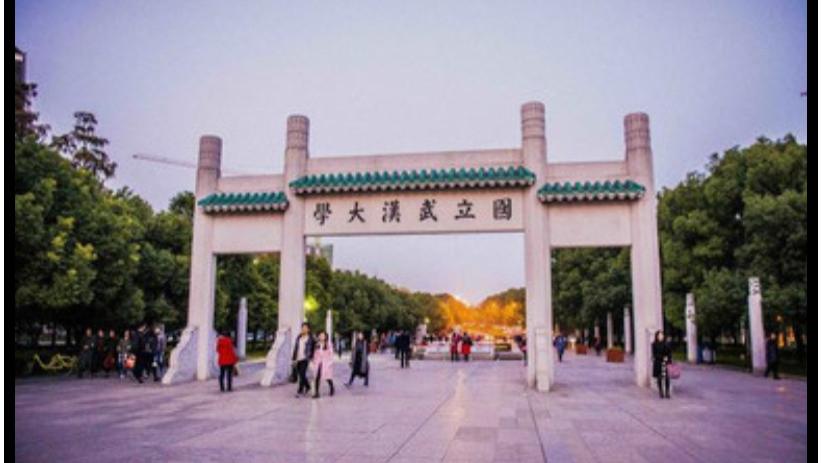 最新！武汉大学校长回应 “性骚扰” 事件，却让人更加难受
