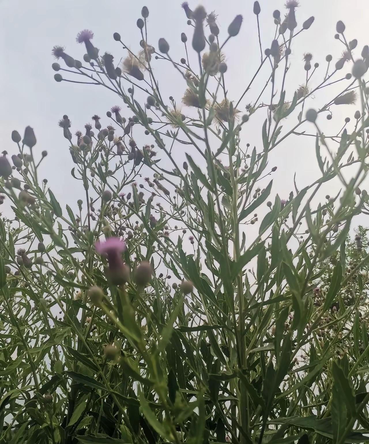 有没发现如今社会已经反常了！
礼崩，法乱，德丧，义薄，人心贪的社会！