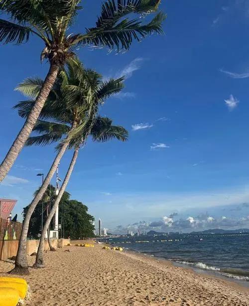 孙子兵法，你看懂了吗？改命，靠选妻。  这并非一句戏言，而是对人生策略的高度概括