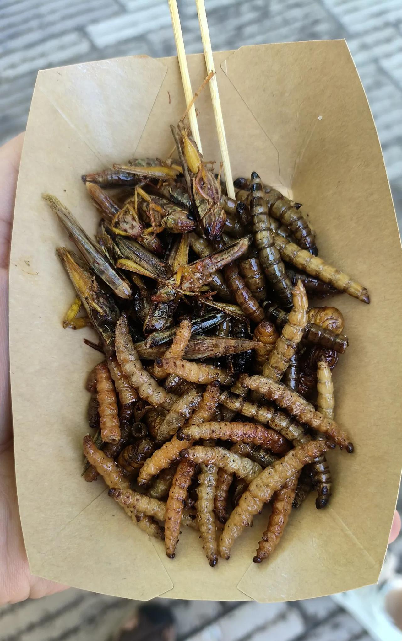 一盘昆虫拼盘结束云南之旅
炸蚂蚱，炸蚕蛹，炸竹虫，炸蜻蜓。。。拼一小盒25元，吃