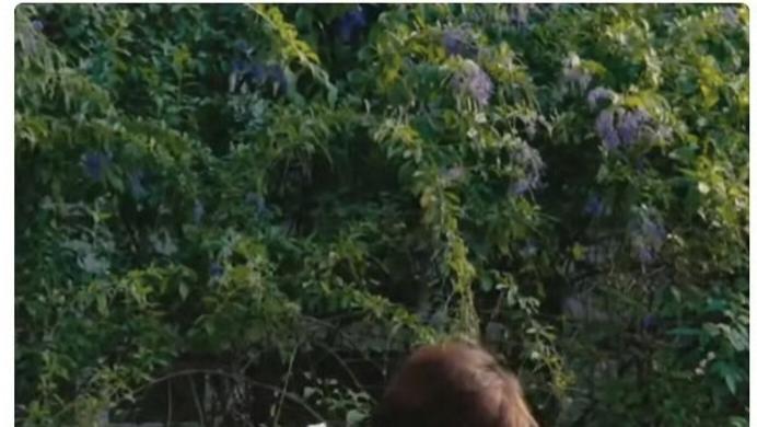 檀健次回应速度：一场凌晨爆料与清晨辟谣的正面交锋