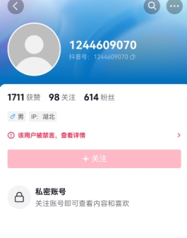 2025年6月5日，湖北黄石公安对在网上谩骂烈士家属毛豆妈妈的抖音账号@清晨小马