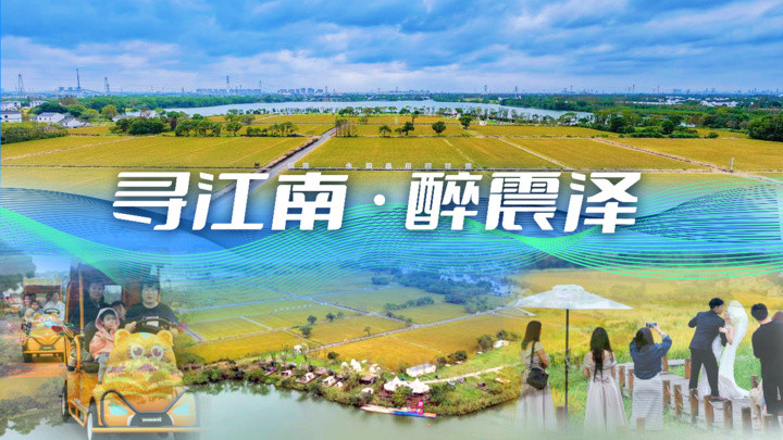 寻江南·醉震泽④｜品质生活，在此乡间