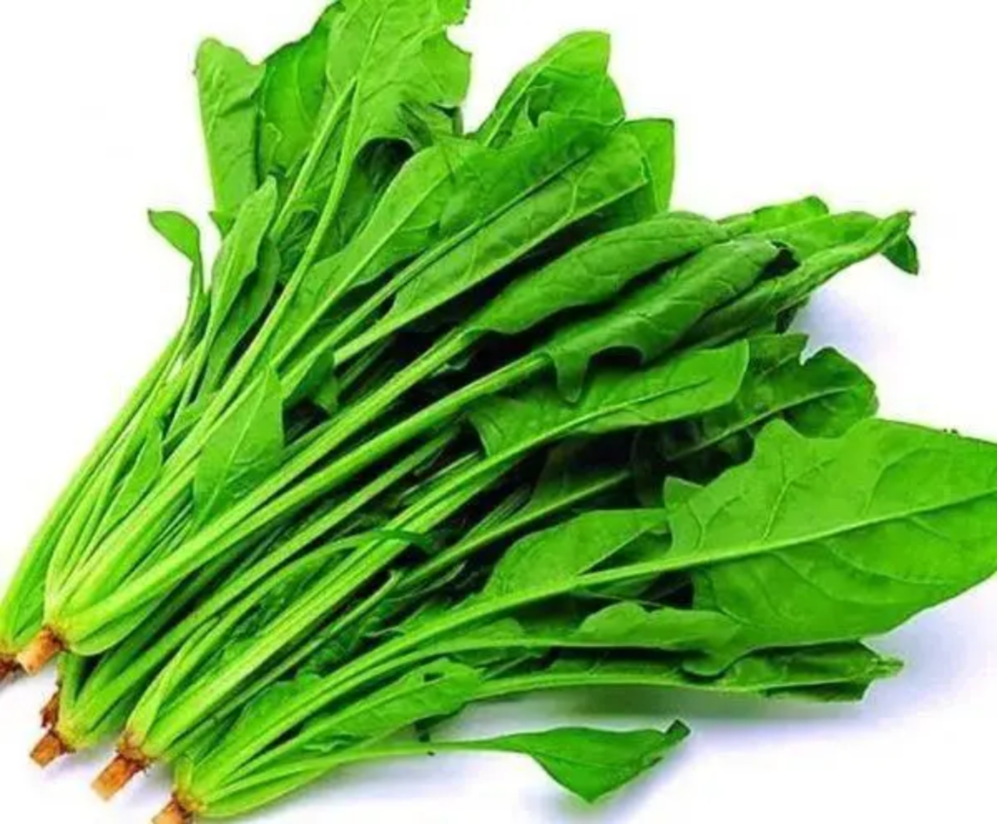 老年人常吃4种食物不缺钙！
