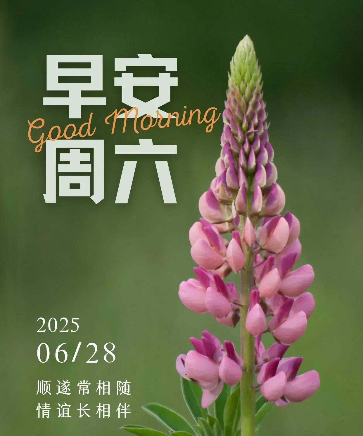 用心去生活，冷暖皆成风景，时光点滴，终将沉淀成岁月的悠长。风带来清凉，花带来芬芳