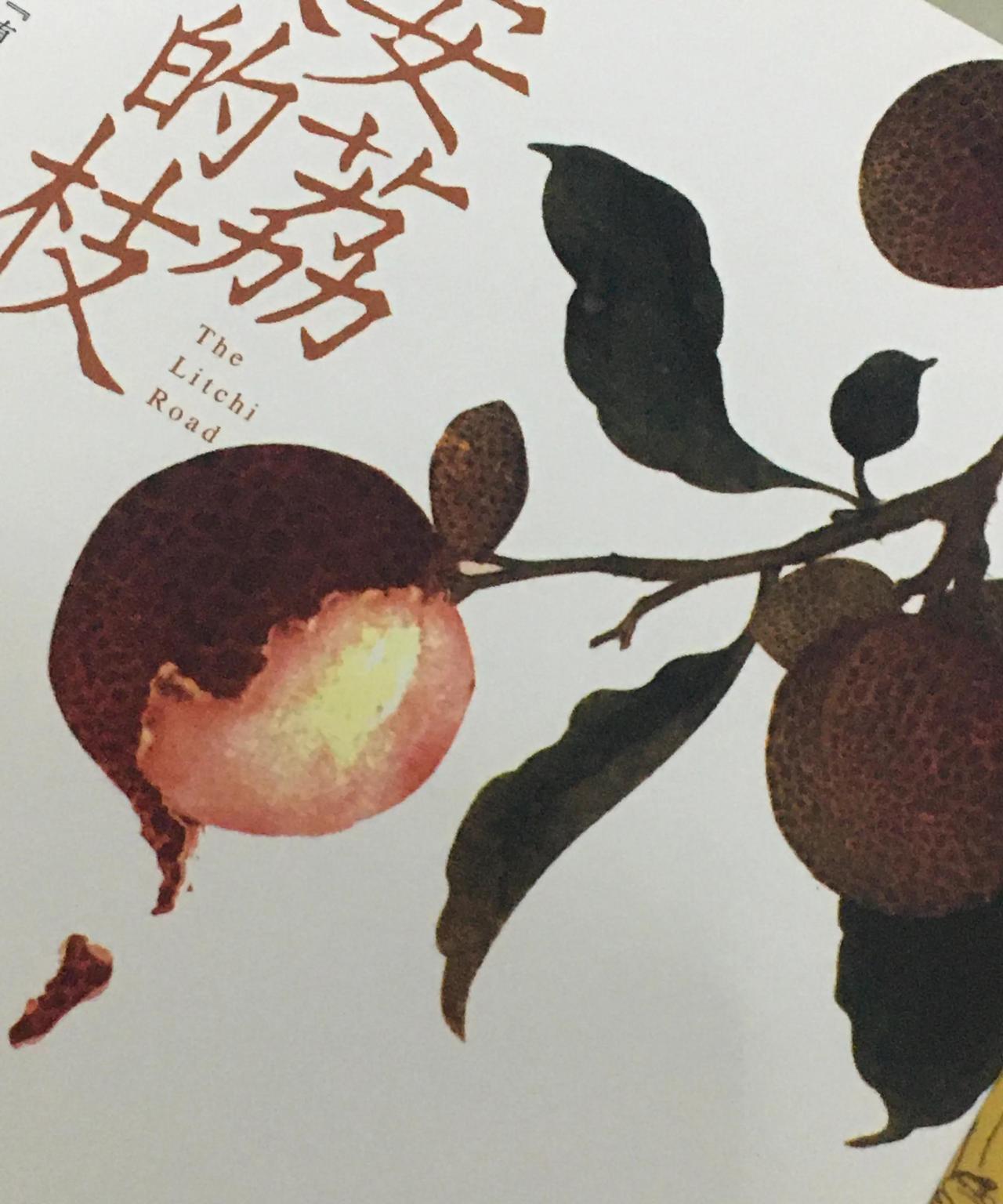 《长安的荔枝》江苏卫视撤档了
原本计划上线播出的剧
换《书卷一梦》接档了
不是书