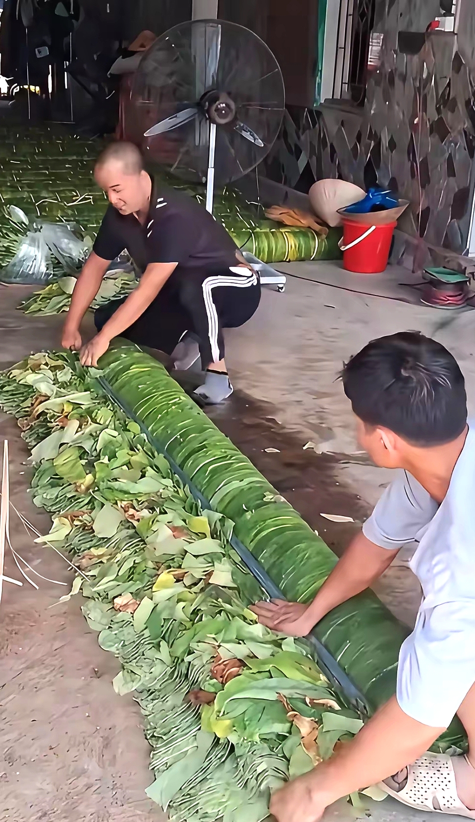 很少人知道他们在做什么？