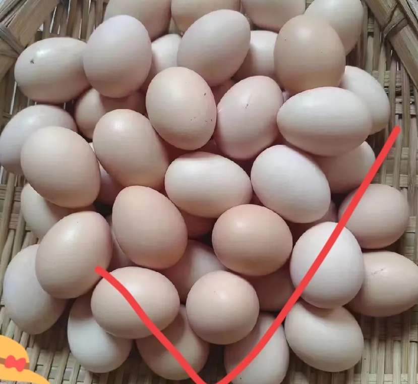 果然还是儿子亲呢？我今天下班回去的晚，于是就让婆婆做饭，婆婆还问我想吃什么，我说