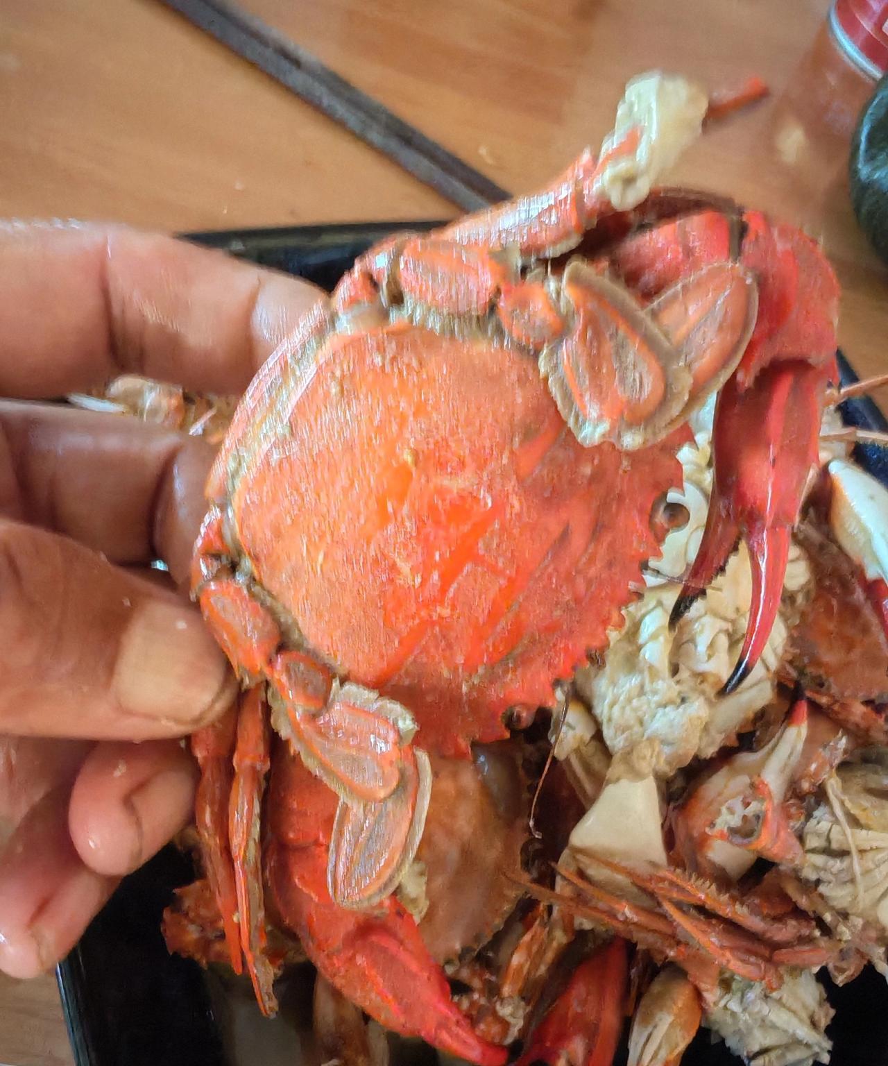 螃蟹虽小都是赶海抓的，味道要慢慢磕慢慢品