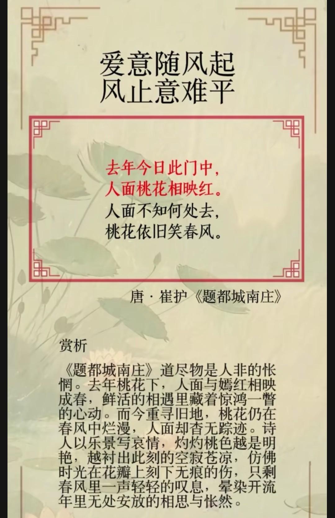 崔护《题都城南庄》赏析
全诗以