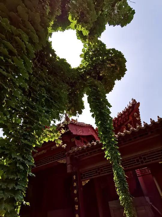 紫禁城秘闻：明朝皇子竟在民间当学徒
汉代皇室为保子嗣存活，竟把皇子送民间寄养！汉