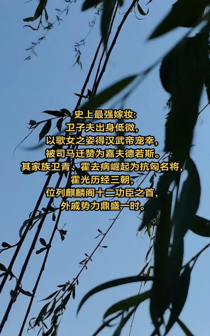 史上最强嫁妆：卫子夫出身低微，以歌女之姿得汉武帝宠幸，被司马迁赞为嘉夫德若斯。其