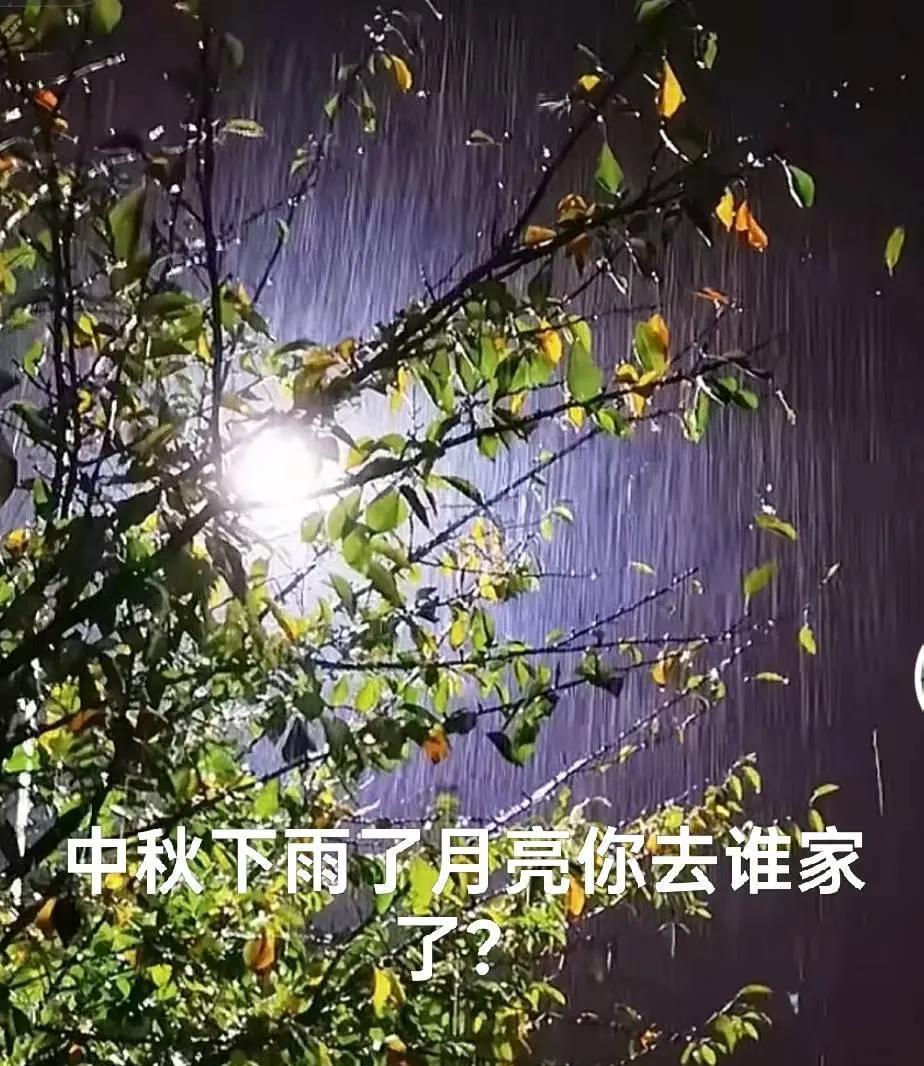 中秋下雨了，晚秋的雨打在枯黄的树叶子上，树枝残叶在风雨中拼命的挣扎，仿佛要留住秋