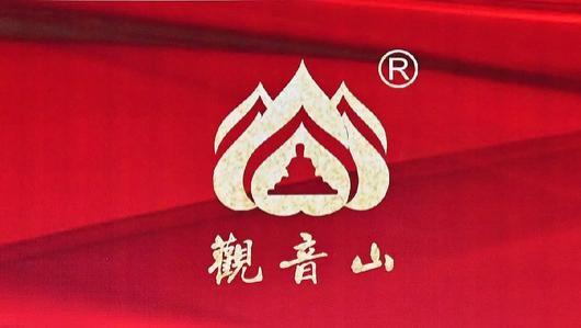名家评论：第六届“观音山论剑”李星潭主编谈东莞观音山法治困境