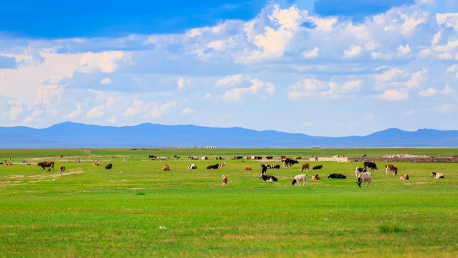 坚守正义三十载 一纸批文背后的权益守望