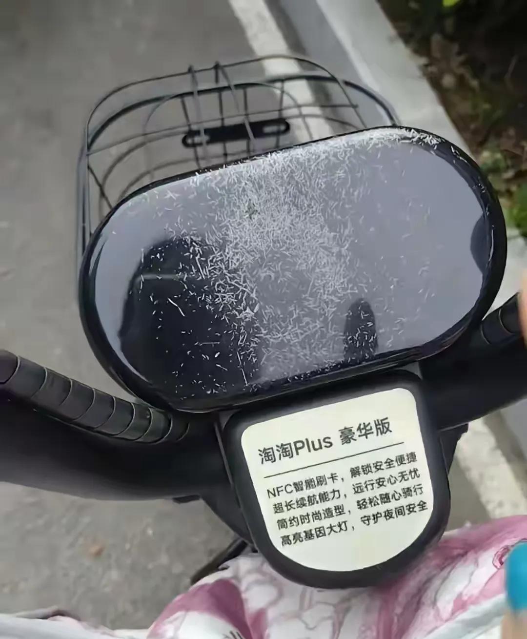 流浪猫抓坏电动车显示屏，投喂人该不该赔偿呢？
图片来自网络。
刚才看见网上有个帖