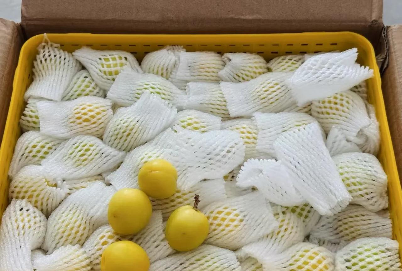 体制内的干部能不能注册个体工商户或者开一家杂货店？答案是否定的，不能！
根据规定