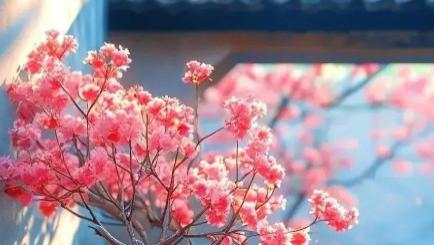 暖暖的三九   还是八十年代熟悉的寒冬吗？