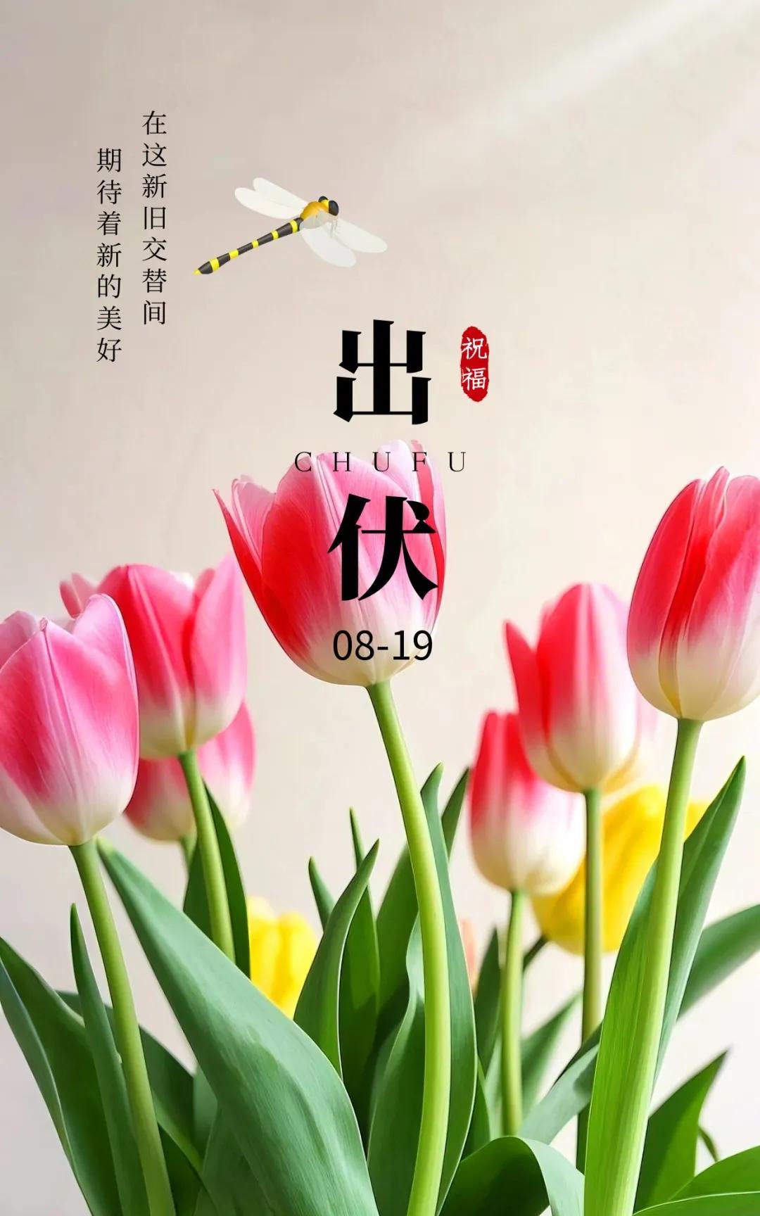 《五律·出伏盼秋》
今朝辞酷伏，暑退爽风临。
节序更迭急，幽怀自此寻。
风摇秋影