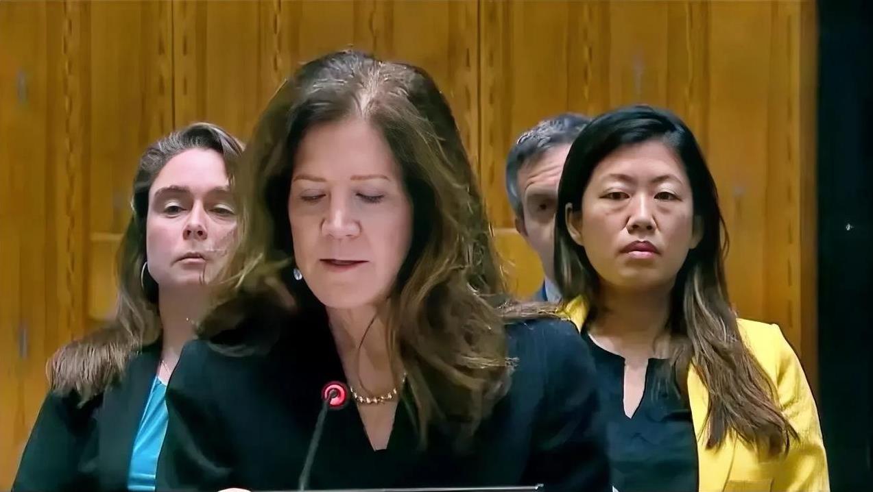 美国常驻联合国代表团临时代办多萝希·谢伊:“以色列政府还在整个地区散播混乱、恐怖
