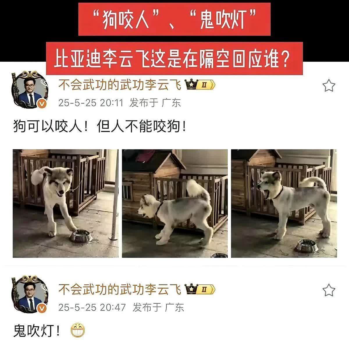 魏建军说别人降价玩“鬼灯”，结果扭头比亚迪直接甩了张降价王炸。
海豹智驾版砍到