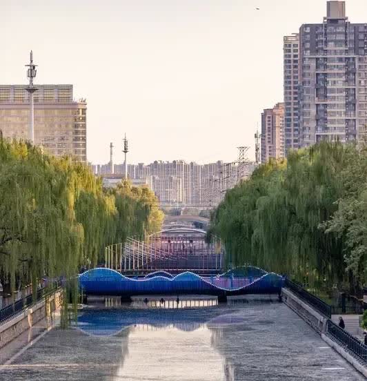 河道现钞被捡，法律道德不容失守
深圳宝安的一条河道里惊现成扎的钞票，一名男子迅