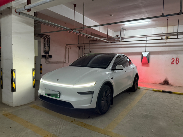 特斯拉焕新Y长续航每天都在充电
【充电频率】每天都在充电，三元里电池建议浅充浅放