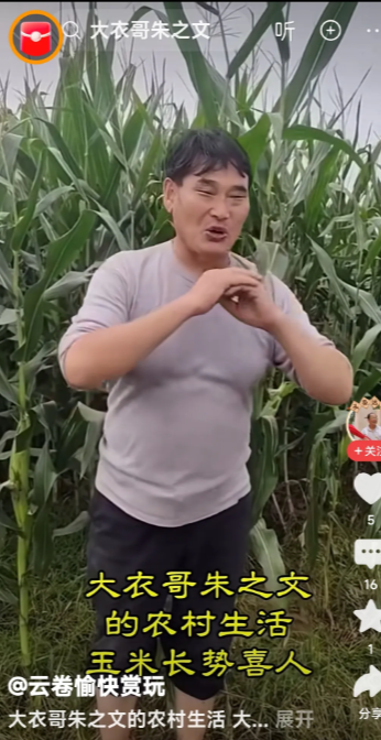 大衣哥朱之文跑自家苞米地边上去唱歌了。

我说是不是有点犯不上了？没出名前到苞米