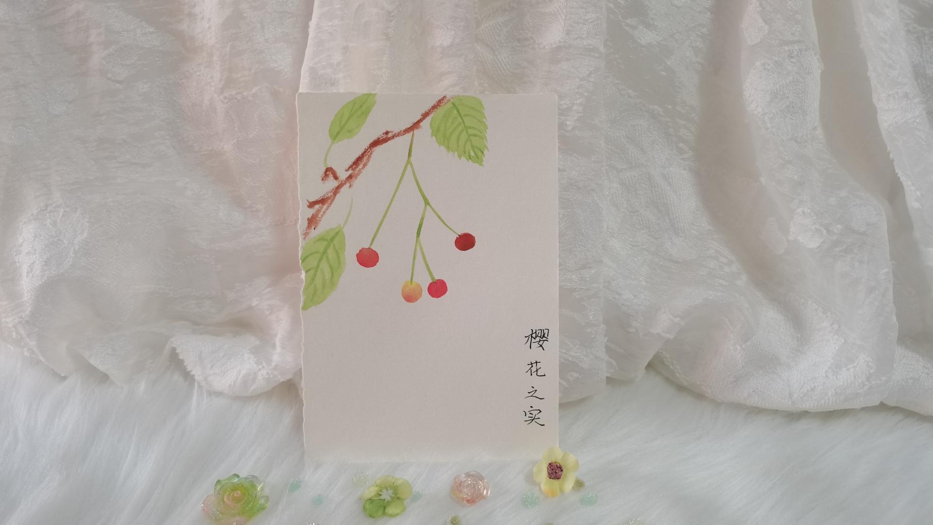 35 樱花果（绘画 | 水彩 | 果花甘05）