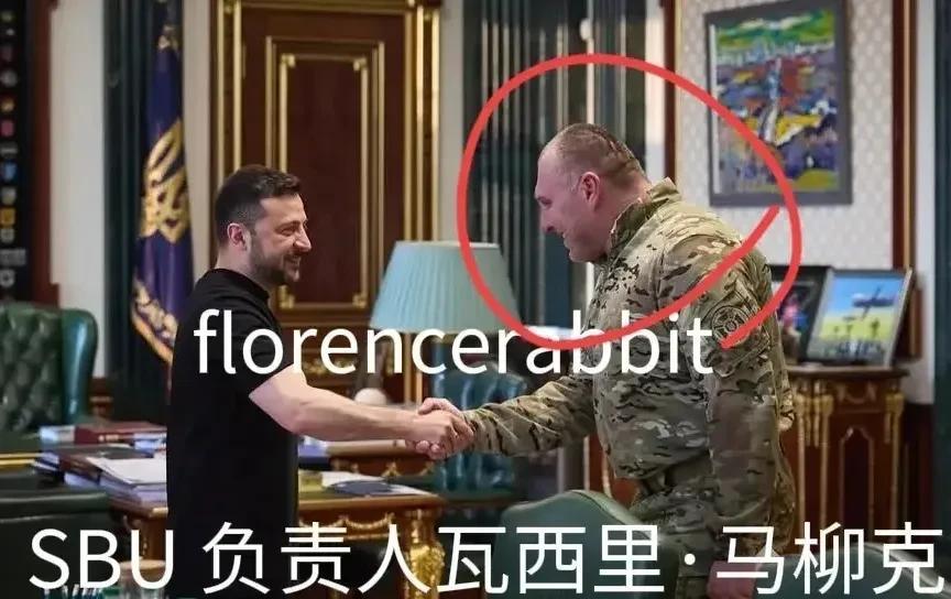 泽连斯基称赞“这次袭击俄罗斯行动必将载入史册”。乌克兰总统对袭俄多个空军基地做出