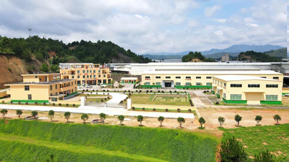 饶鑫程：创新赋能客家美食 匠心助力乡村振兴