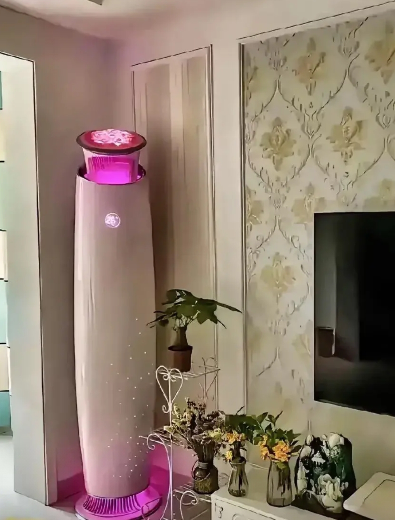 老爸跟我说，下回家里换空调，要买那个玫瑰空调。我问老爸为啥。
老爸说，董明珠真的