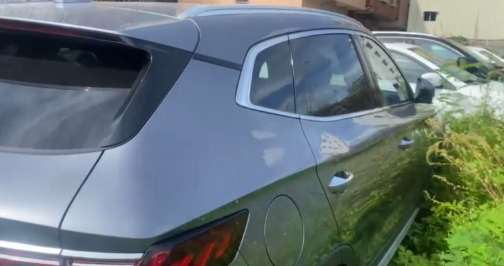 宋PLUS DM-i提车日记
① 情况介绍宋 plus dmi(两驱110km旗